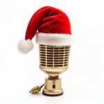 Santa Microphone