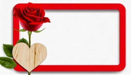 Flowers, Frame, Valentine