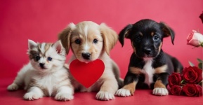 Cute Puppies W Balloons And Hearts