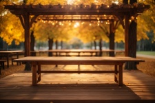 Empty Wooden Table