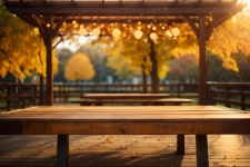 Empty Wooden Table