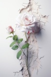 Eternity Rose N°8