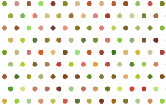 Forest Color Polka Dots On White