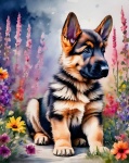 Dog German Shepherd Puppy