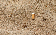 Cigarette Butt Left On The Sand
