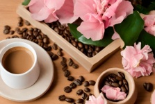 Coffee Beans, Cup Of Coffee, Flower