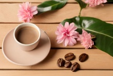 Coffee Beans, Pink Flowers