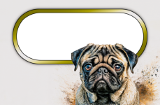 Dog Pet Pug Frame Text Photo Art