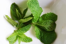 Fresh Mint Leaves In A Square Bowl