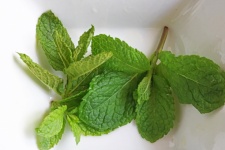 Green Mint Leaves In A White Bowl