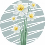 Springtime Daffodil Flower Art
