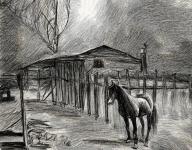 Black And White Horse Sketch Art