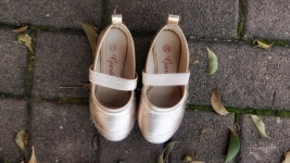 Lost Baby Ballet Shoes