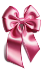 Pink Satin Bow Embellishment