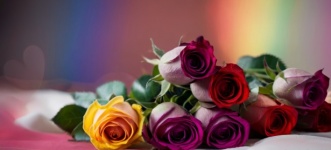 Rainbow Roses On Blurred Background