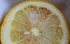 Spoilt Area Inside A Ripe Lemon