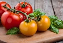 Tomatoes And Basil