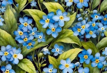 Forget-me-not Flowers Vintage