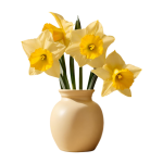Yellow Daffodil Flowers In Vase