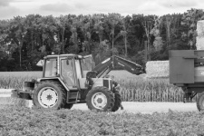 Agriculture, Tractor, Straw Bales