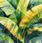 Banana Leaf Plant Art
