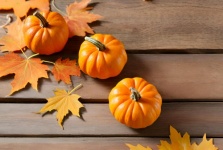 Fall Pumpkins And Maple Leaves