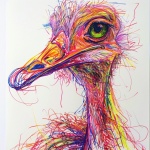 Abstract Ostrich Portrait Sketch