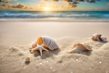 Seashells In The Sand