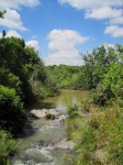 Stream Flanked By Vegetation