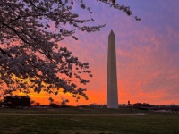 Washington Monument At Sunset