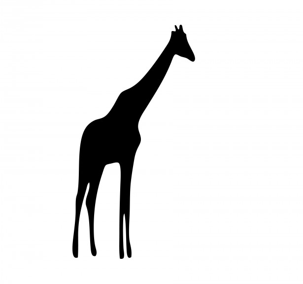 Giraffe Free Stock Photo - Public Domain Pictures