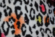 Animal Leopard Pattern Colorful Art