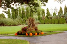 Autumn Estate Garden