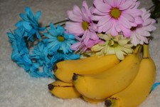 Banana Fruit Daisy Flowers Colorful