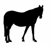 Black Horse Silhouette Clipart