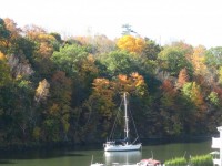 Boat In Fall
