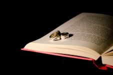 Book And Rings