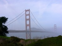 Bridge In Misty Morning