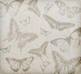 Butterfly Background Vintage