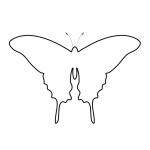 Butterfly Outline Clipart