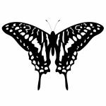 Butterfly Tattoo Clipart