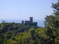 Castle Sonnino Livorno
