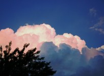 Cloud In Pink And White