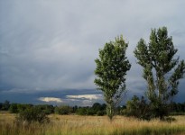 Dark Clouds With Trees And Veld