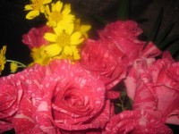 Delicate Floral Arrangement