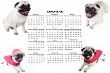Dog Calendar 2014
