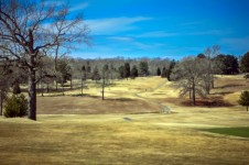 Dry Grass On Golf Course
