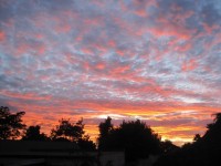 Flock Cloud At Sunset