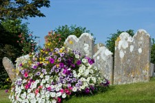 Headstone & Flowers