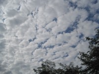 Honeycomb Clouds